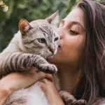 Do cats actually like to be kissed? Here's what they're really thinking