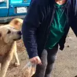 This dog guarded her home during the California fires.
