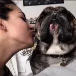kisses
