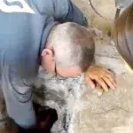 Kittens under the terrace