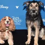 Lady and the Tramp