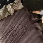 make your bed morning