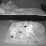 Nanny cam footage captures special bond between a baby and his dog