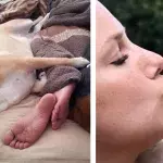 Of Pets and People