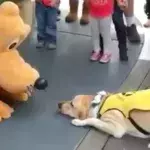 Pluto