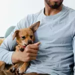 This rescue dog gives a heartbroken husband courage to carry on 