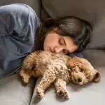 Should you be sleeping with your dog at night?