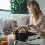 Thanksgiving foods dangerous to pets