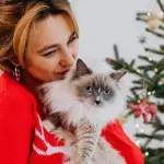 Top 10 Christmas gifts for cat owners and lovers, all for under £15