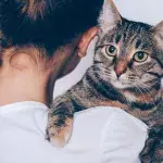 Two-thirds of people would rather spend time with their cat than their friends