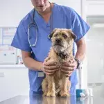 Vet clinic