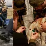 War in Ukraine: These images show how thousands of pets are suffering