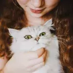 Woman reunited with her cat after 17 years because of microchipping
