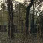 Zoo