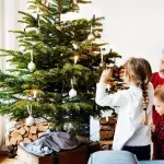 This is the right time to put up your Christmas tree, as per experts