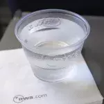 Shocking reason why you should never drink water on the airplane revealed by travel expert 