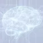 The age of human and machine convergence has dawned