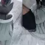 All you need are latex gloves and cement to replicate this genius DIY garden decoration.