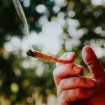 Amazon stops drug use check for new employees