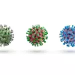 Covid-19: A new variant is straining health systems, here's everything we know