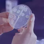 COVID: This disease from the past could be making a comeback amid the pandemic