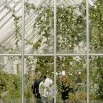 Greenhouse