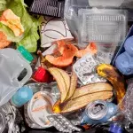 Here Is How To Get Rid Of Bad Smells From Your Rubbish Bin