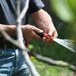 Hosepipe ban: Are you going to be affected?