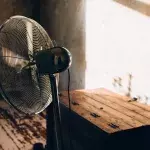 This is how you should actually be using a fan in the summer