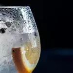 Lidl banned from selling Hampstead Gin for being too similar to Hendrick's 