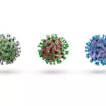 A new COVID variant has emerged, here is what you need to know