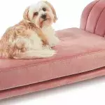 Shoppers have gone wild for Aldi's Bridgerton-style pet beds 