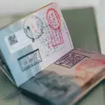 Travel Bans Now in Place As New Brazilian Strain Concerns Researchers