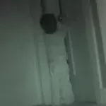 A very clever little thief