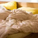 bed rotting