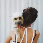 Dogs May Be Able To Sniff Out Breast Cancer