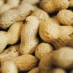 Eating boiled peanuts could cure this common potentially fatal condition