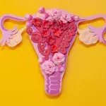 Everything You Need To Know About Ovulation