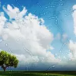 Floaters