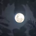full moon affects sleep