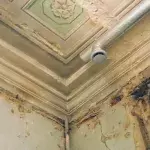 hidden mould in mattress  signs to look out for