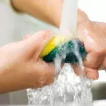 This is how often you should watch your kitchen sponge to avoid health risks 