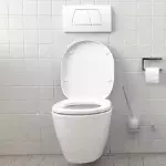 Pelvic Health: Here’s why you shouldn’t squat over public toilets