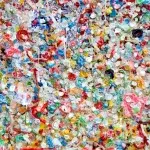 scientists plastic discovery insects environment