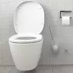squatting position toilet