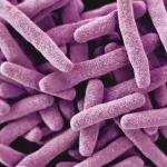 Tuberculosis and COVID: What are the different symptoms?