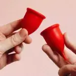 Why Do Women Menstruate?