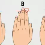 fingers