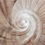 Optical Illusion: People see different things depending on the time of year