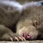 Sleep